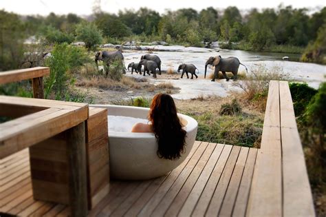 The Top 5 Sabi Sand Safari Lodges