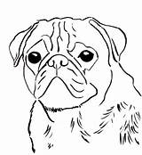 Free pug coloring page To Download And Print sketch template