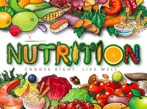 Poster making idea for the 2017 nutrition month - Brainly.ph