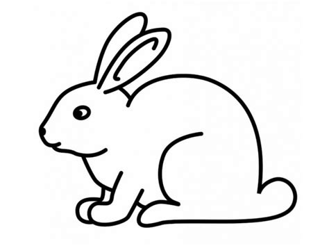 Cartoon Rabbit Coloring Pages Coloring Pages