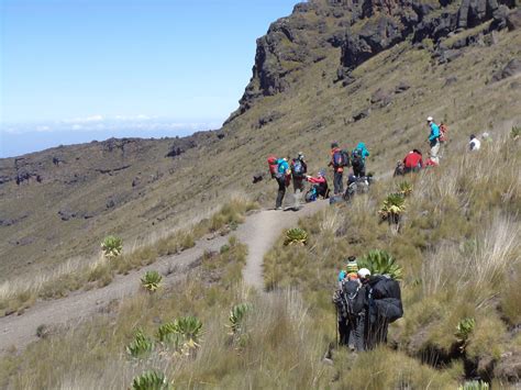Go To Mt Kenya - Mount Kenya Climbing, trekking Mount Kenya