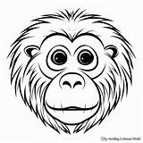 Baboon Coloring Pages  Free & Printable sketch template