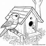 Animal Shelter Coloring Pages  Free & Printable sketch template