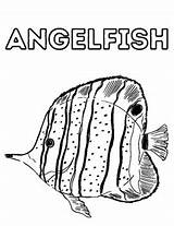 Cute Angel Fish Coloring Pages sketch template