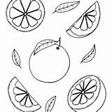 Grapefruit Coloring Pages Printable For Free Download sketch template