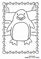Printable Penguin Coloring Pages For Kids Cool2bkids sketch template