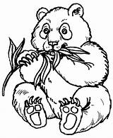 Panda Coloring Pages  Best For Kids sketch template