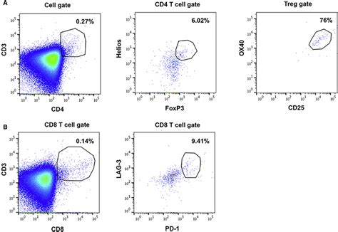 Regulatory T Cell and Exhausted T Cell Detection by Flow Cytometry in... | Download Scientific ...