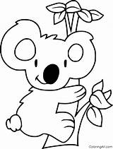 Koala Coloring Pages 45 Free Printables  ColoringAll sketch template