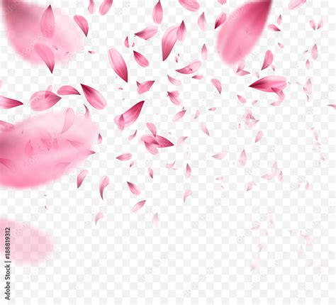 Pink sakura falling petals background. Vector illustration Stock Vector ...