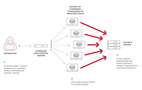 Xbox ddos tool - womenbetta