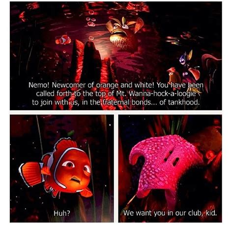 Shark bait hoohaha | Disney finding nemo, Disney pixar, Disney animation