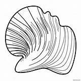 Clam Shell Coloring Page 42352 33983 sketch template