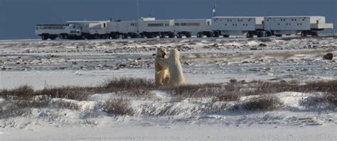 The Tundra Buggy Lodge, Frontiers North Adventures, Churchill, Canada ...