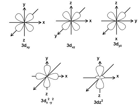 What is an orbital? Draw the shapes of the 1s, 2s, $\\text{ 2}{{\\text{p}}_{\\text{x}}}\\text ...