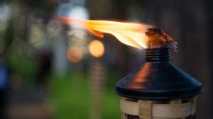 Tiki Torches DIY Projects Craft Ideas & How To’s for Home Decor with Videos