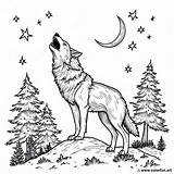 Coloring Page Of The howling And Singing Wolf Download Or Print For Free sketch template