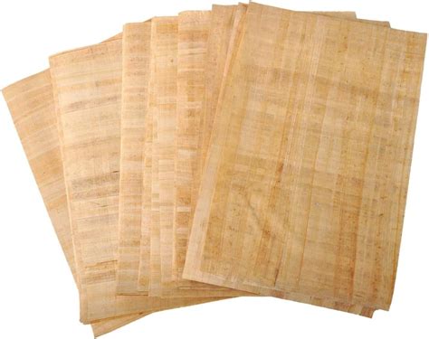 Amazon.com: Set 10 Egyptian Blank Papyrus Paper 8" X 6" (20 x 15 cm ...