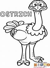 Ostrich Bird coloring Book pages For Kindergarten  Kids Coloring Pages sketch template