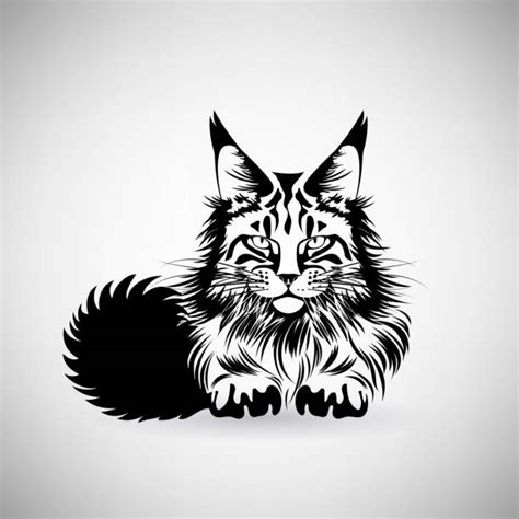 40+ Maine Coon Silhouette Stock Illustrations, Royalty-Free Vector Graphics & Clip Art - iStock