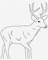 Deer Hunter Coloring Pages sketch template