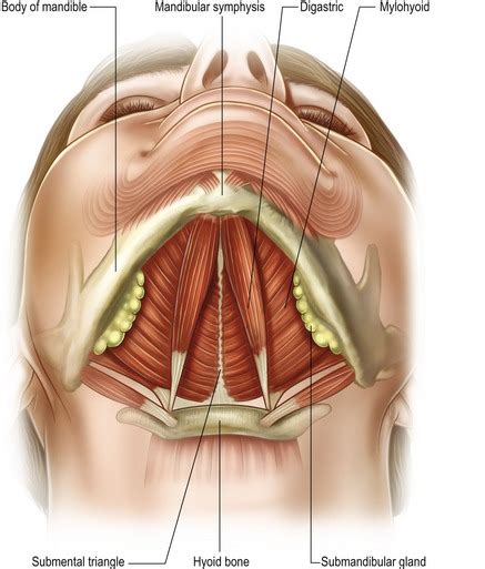 Deep plane procedures in the neck | Plastic Surgery Key