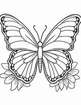 50 Butterfly Coloring Pages Free Printable Sheets sketch template