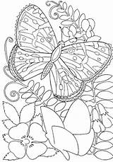 Butterfly Coloring Books For Adults Pages sketch template