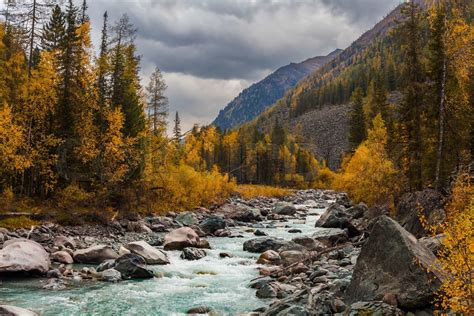 Beautiful landscape with a view of a mountain stream in the fall ...