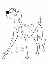 Dalmatians Walking Coloring Page For Kids  Free 101 sketch template