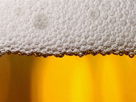 32 Facts About Beer Foam