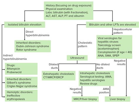 Jaundice | Concise Medical Knowledge