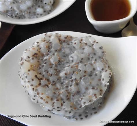 Delicious Sago and Chia Seeds Pudding | The Mad Scientists Kitchen