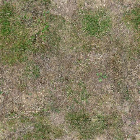 Seamless Dirt Grass Texture