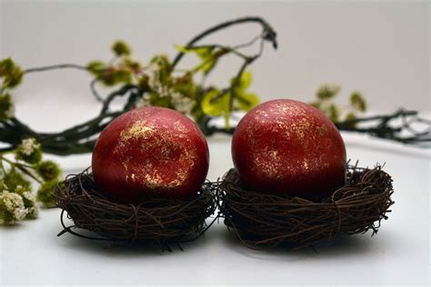 Free Images : branch, plant, flower, cute, food, red, produce, vegetable, color, twig, christmas ...