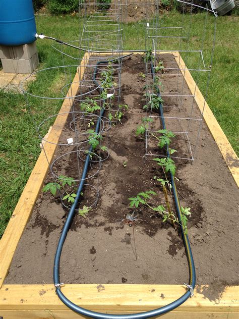 Custom drip irrigation for my lovely raised bed. | Vegetable garden planner, Vegetable garden ...