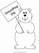 Groundhog Coloring Pages Sketch Page sketch template