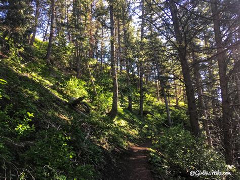 Hiking the Terraces Trail, Millcreek Canyon – Girl on a Hike