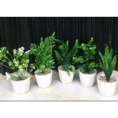 Jual bunga hias dan pot/daun hias dengan pot/dekorasi ruangan | Shopee ...