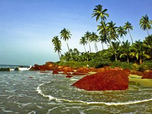 Konkan Beach