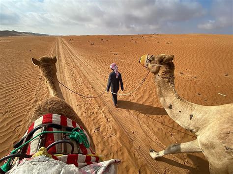 The Arabian Desert - WorldAtlas