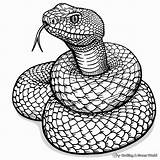 Free Snake Coloring Page Unleash Your Inner Artist And Learn About Snakes sketch template
