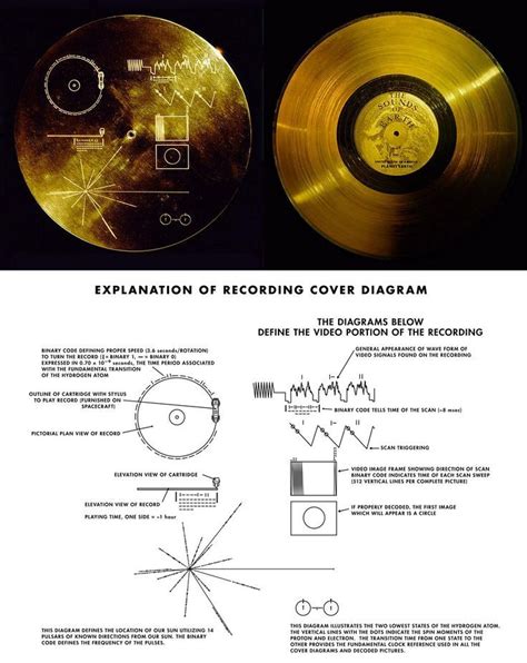 The Voyager Golden Record (1977) nel 2024 | Scienza, Tatoo