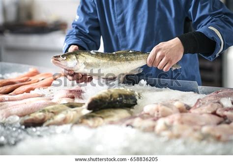 Fishmonger Selling Fish Stock Photo (Edit Now) 658836205