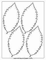 4 Leaves Of Elm Template  Free Printable Papercraft Templates sketch template