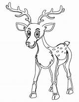 Baby Deer Coloring Page Printable sketch template