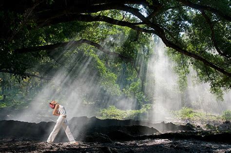 Yoga In Forest Stock Photos, Pictures & Royalty-Free Images - iStock