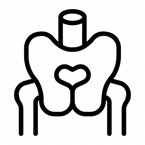 Pelvis, pelvic, bone, area, human, body, parts icon - Download on Iconfinder