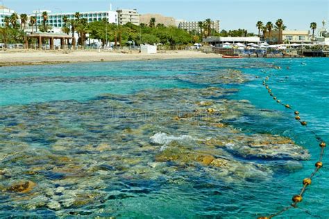 Coral Reef on the Red Sea Eilat Stock Image - Image of ocean, city: 148341579