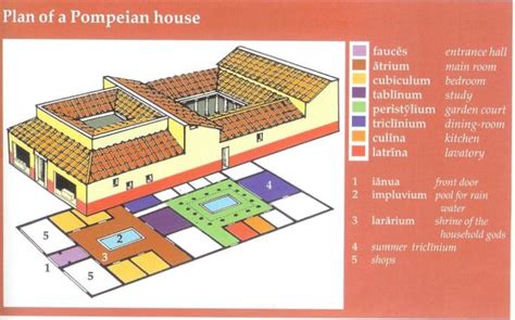 Plan of a Pompeian House | Roman house, Roman villa, Ancient roman houses